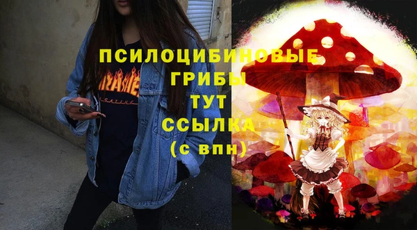 дмт Алексеевка
